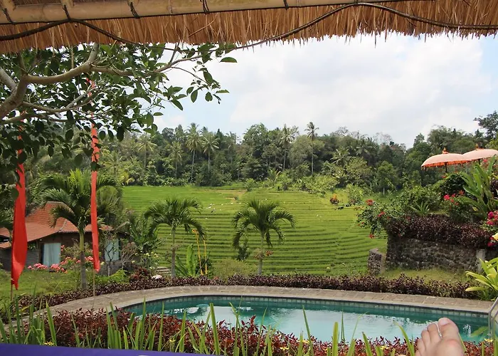 Bali Lush Frühstückspension Selemadeg (Bali)